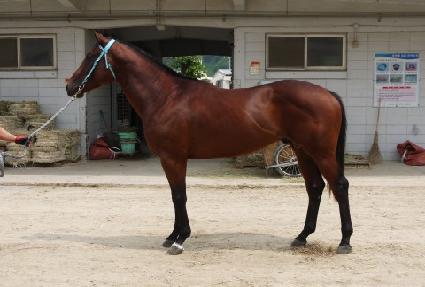 �����Ÿ ����