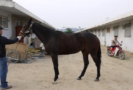 ��Ÿ�Ƹ��� ����