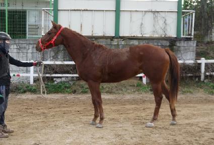 ��Ÿ����� ����