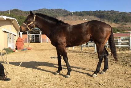 ����¯¯�� ����