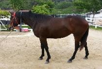 �߾ӿ��� (JUNGANG YOJEONG) ����