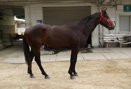 ������ ����