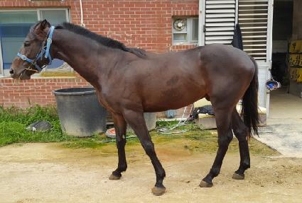 �ְ��帲 ����