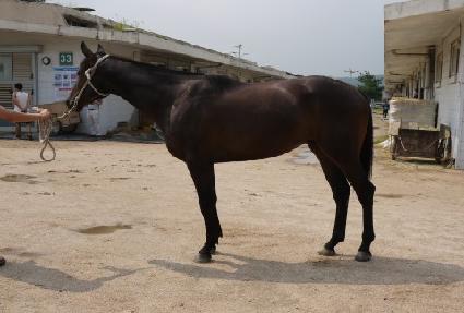 �Ӻ����� ����