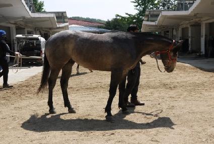 �ƶ��ƹݵ� ����