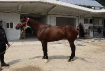 �ݵ�� (GEUMDEONGEORI) ����