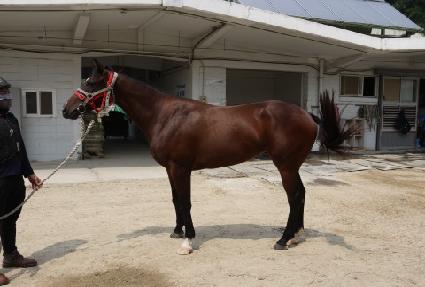 �ݵ�� ����