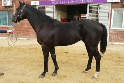 �������� ����