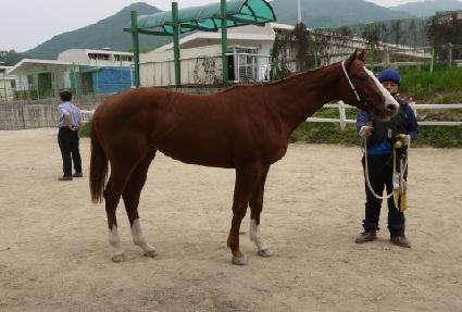 �޴Ϻ�Ʈ ����