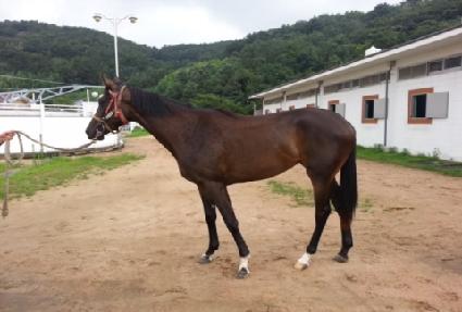 ī��¯ ����