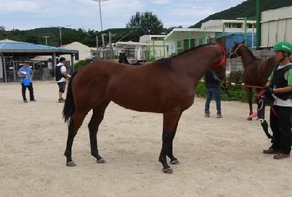 ���̹����� ����