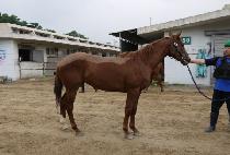 �̼��� (MISUJAE) ����