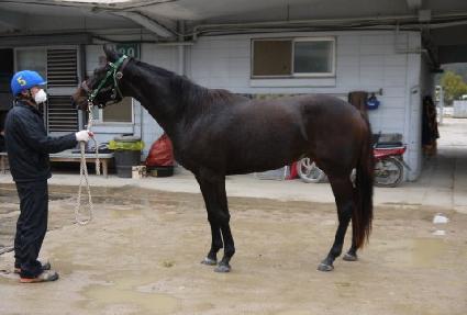 �����̳� ����