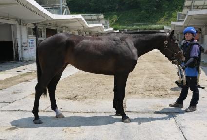 ���̸���ƾ ����