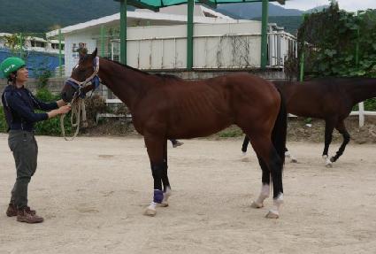 ��ũ���� ����