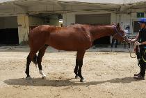 GEUMBIT ULLIM picture