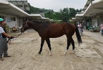 �뱺�� (DAEGUNDAN) ����