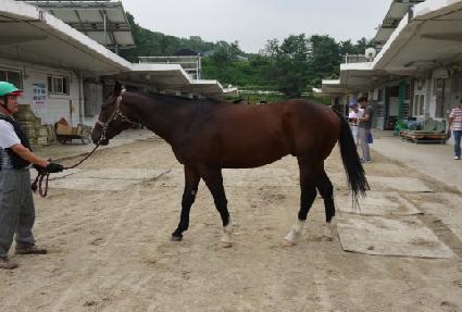 �뱺�� ����