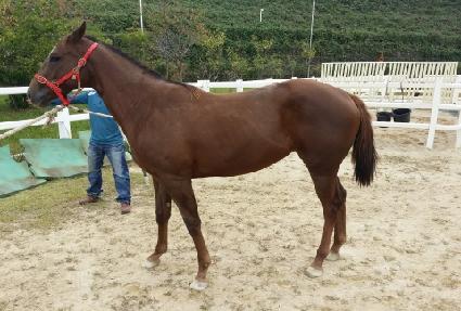 ������ ����