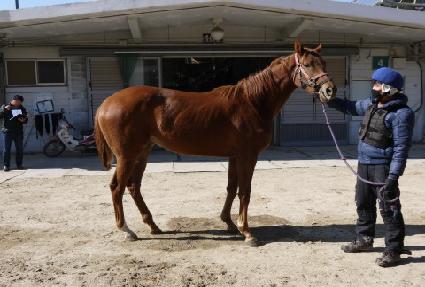 ��Ʈ��Ƽ ����