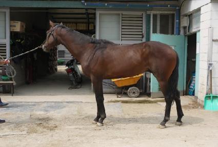 ��ĸƾ ����