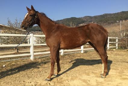 ���ö�� ����