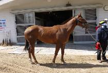 �޽ÿ� (GEUPSIWOO) ����