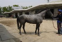 ��ô�� (GAECHEOKJA) ����