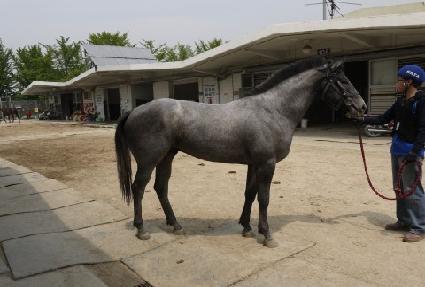 ��ô�� ����