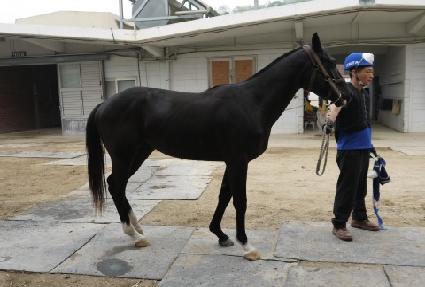 �����ġ ����