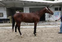 õ�պ� (CHEONWANG BYEOL) ����