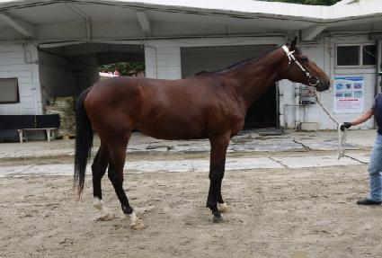 õ�պ� ����