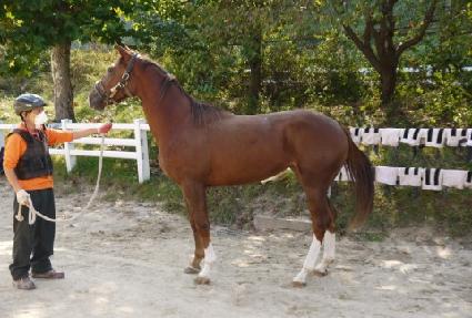 Ŭ���̺� ����