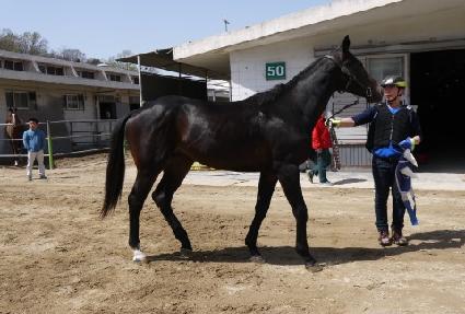 ����Ʈ���� ����