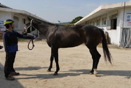 ����ķ�� ����