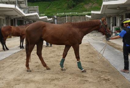 �󺻿��� ����