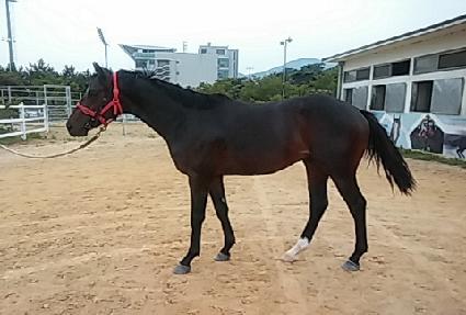 ��緹�� ����