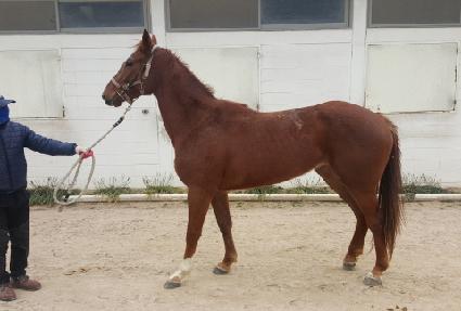 �������� ����