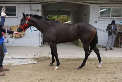 õ�� ����