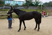 ����ź�� (MUHAN TALLYEOK) ����