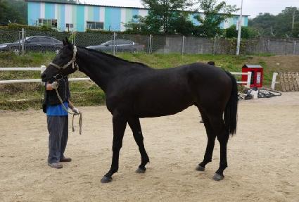 ����ź�� ����