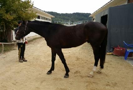 ���ǹ���ũ ����