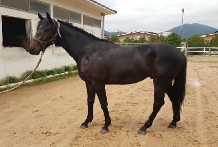 ��Ʈ�� ����