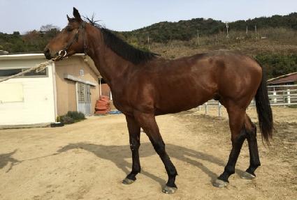 ����ĭ ����