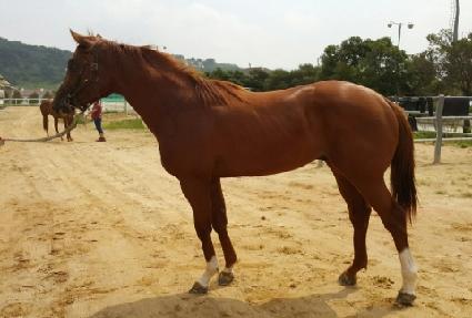 �ҳ�ƿ�� ����