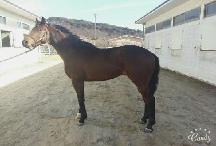 ����ĭ ����