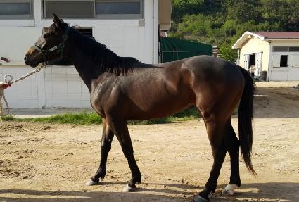 ���ξ���� ����