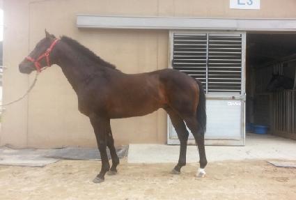 �Ŀ������̵� ����