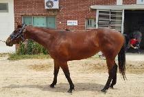 �赵���� (KWAEDO YEOGEOL) ����