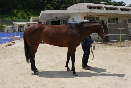 �ô��ǿ��� ����